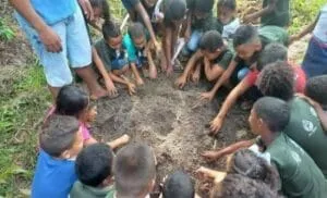 Captura-de-tela-2024-03-03-202142-300x182 IVISAM: Agroflorestas para Sustentabilidade e Segurança Alimentar na Amazônia