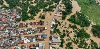 Captura De Tela 2024 03 04 111148