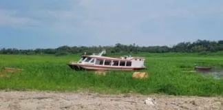 Captura De Tela 2024 03 05 110408