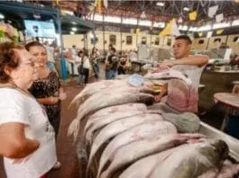 Captura De Tela 2024 03 05 180314