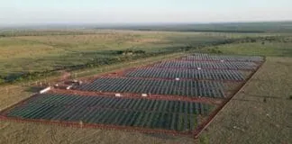 Captura De Tela 2024 03 06 114117