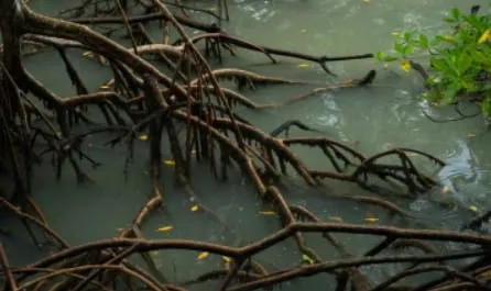 Captura de tela 2024 03 12 160203