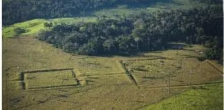 Captura De Tela 2024 03 18 130752