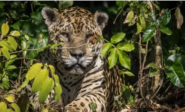 Captura de tela 2024 03 19 130604