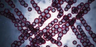 Captura De Tela 2024 03 23 172352