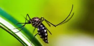 Captura De Tela 2024 03 25 101417