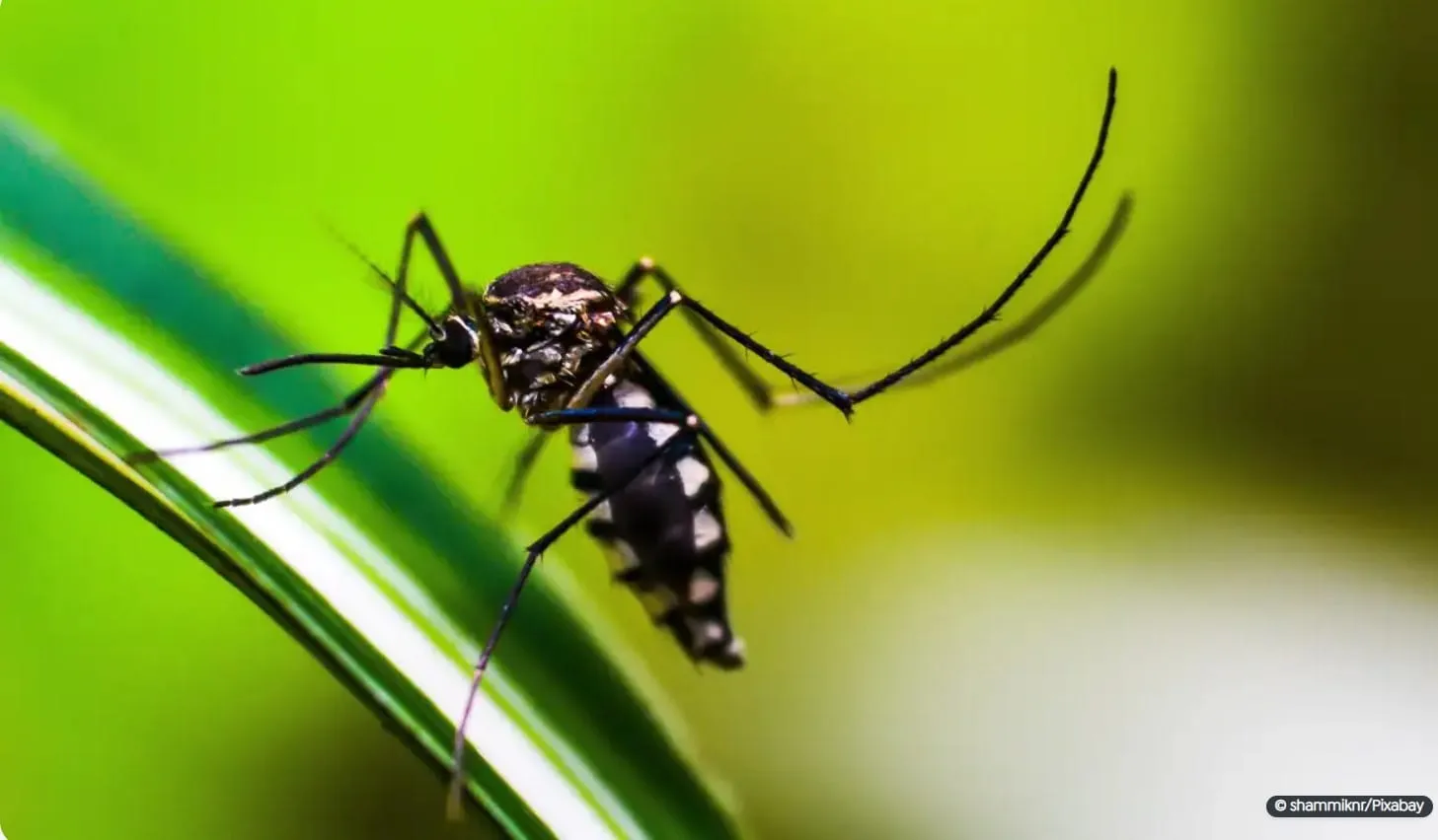 Captura de tela 2024 03 25 101417