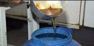 Captura De Tela 2024 03 26 112328