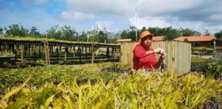 Captura De Tela 2024 03 26 163438