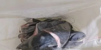 Captura De Tela 2024 03 27 104136