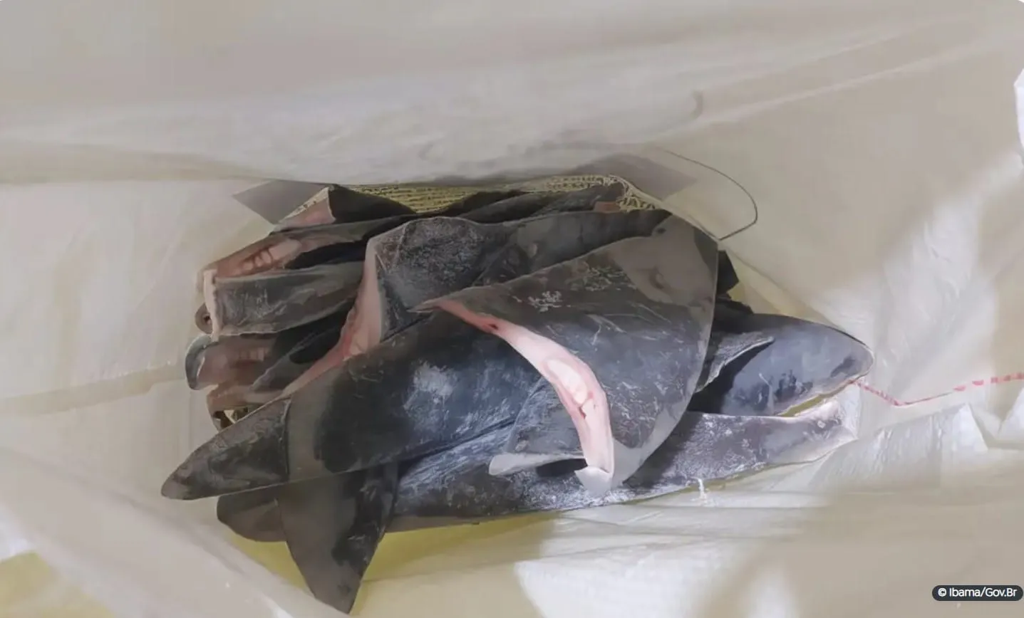 Captura de tela 2024 03 27 104136