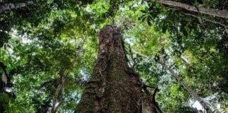 Captura De Tela 2024 03 27 163321