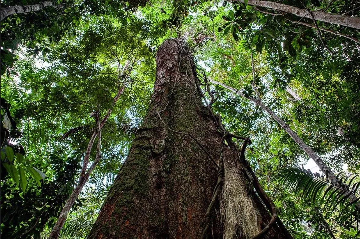 Captura de tela 2024 03 27 163321