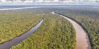 Captura De Tela 2024 03 28 103903