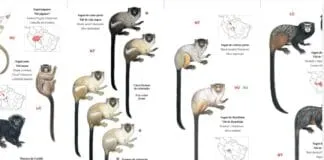 Captura De Tela 2024 03 28 165008