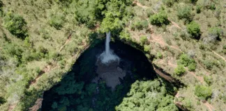 A56ddcfe Cb52 43f8 99be 6315a74c0287