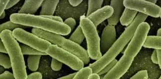 Captura De Tela 2024 04 01 101505