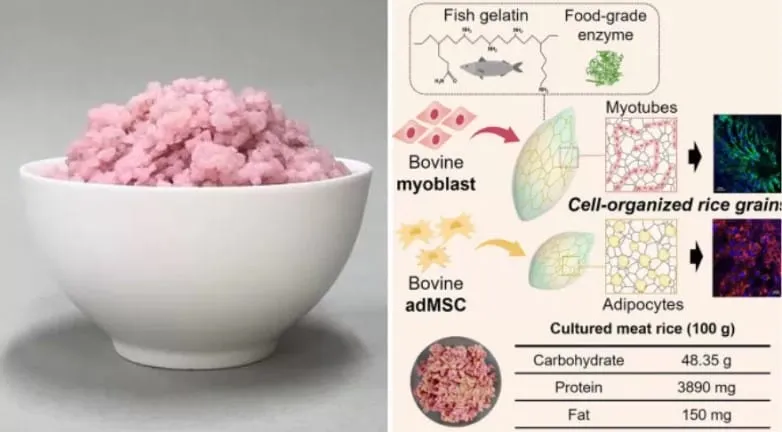 Captura de tela 2024 04 01 120638