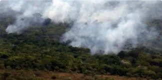 Captura De Tela 2024 04 02 122330