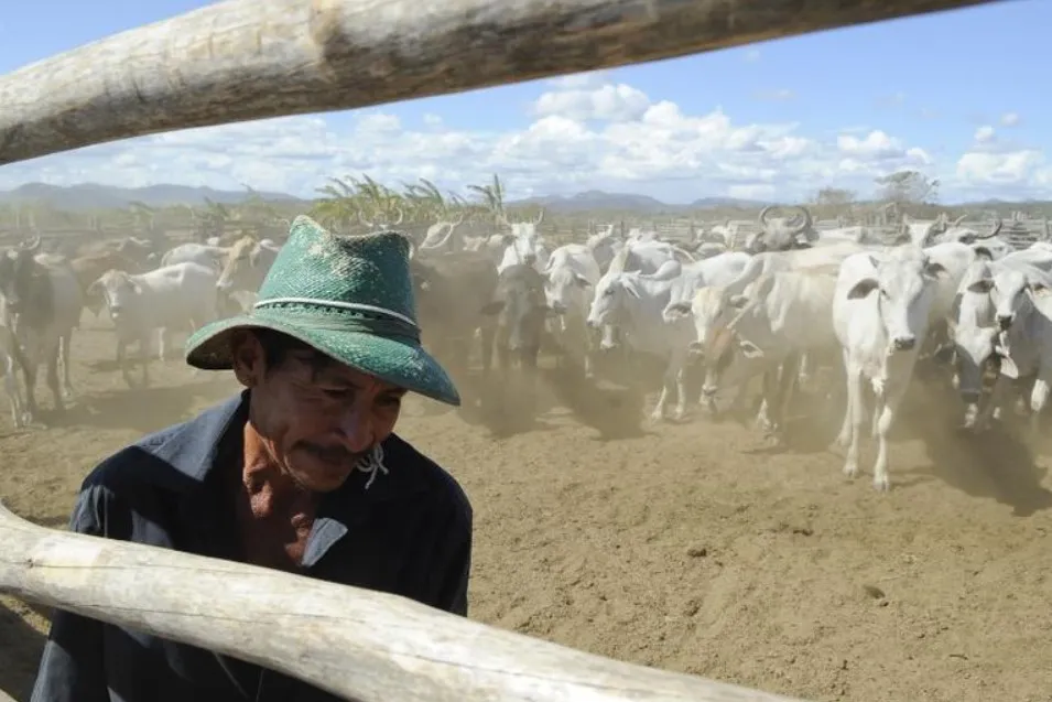 Captura de tela 2024 04 02 150957