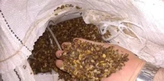 Captura De Tela 2024 04 02 154748