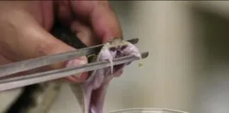 Captura De Tela 2024 04 08 144028