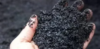 Captura De Tela 2024 04 11 110723