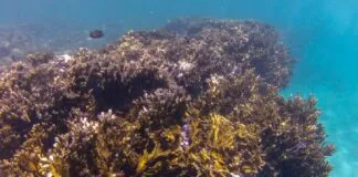 Captura De Tela 2024 04 11 151851