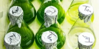 Captura De Tela 2024 04 11 161848