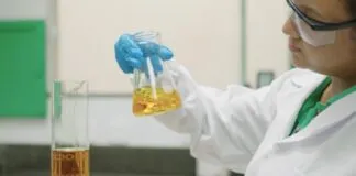 Captura De Tela 2024 04 11 180117