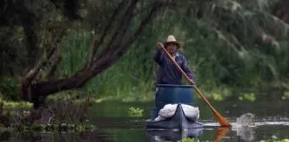 Captura De Tela 2024 04 12 163122