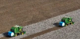 Captura De Tela 2024 04 15 161304