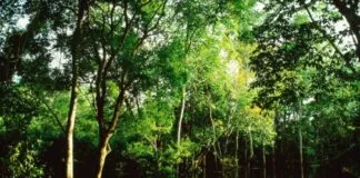 Captura De Tela 2024 04 16 155230