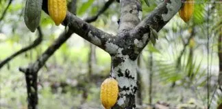 Captura De Tela 2024 04 16 160603