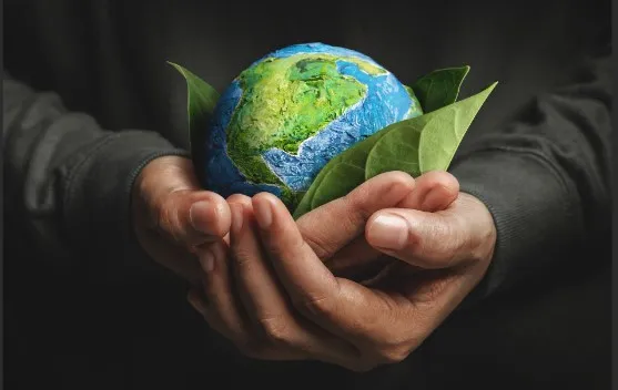 Startups que Estão Transformando o Meio Ambiente