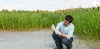 Captura De Tela 2024 04 18 105647