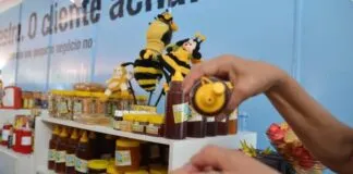 Captura De Tela 2024 04 22 105937