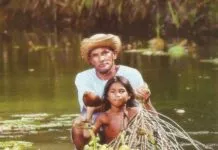 comunidades tradicionais da Amazônia