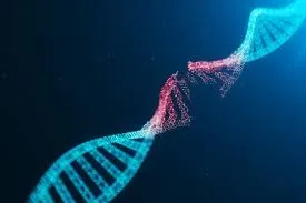 images Descobrindo a Diversidade Genética das Árvores Tropicais