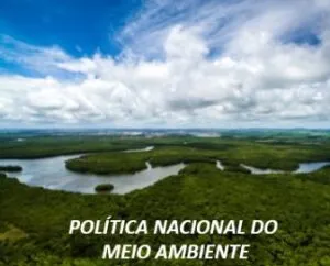 Captura-de-tela-2024-05-09-174211-300x242 Câmara exclui plantação de eucalipto de atividades poluidoras