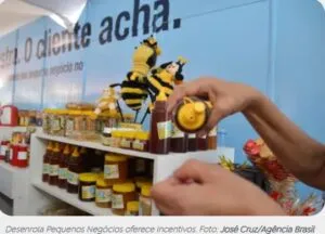 Captura-de-tela-2024-05-13-114806-300x216 Programa Desenrola para MEI e pequenas empresas começa nesta segunda