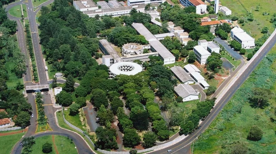 Captura-de-tela-2024-05-14-125711-1 Amígdalas e Adenoides Podem abrigar SARS-CoV-2 em Crianças