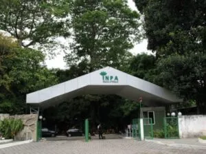 Captura-de-tela-2024-05-14-155603-300x224 Neusa Hamada é nova membro da Academia Brasileira de Ciências