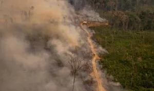 Captura-de-tela-2024-05-15-155658-300x178 Efeito das Mudanças Climáticas nas Comunidades Indígenas do Brasil