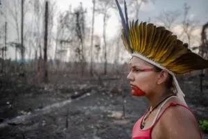 Captura-de-tela-2024-05-15-160251-300x200 Efeito das Mudanças Climáticas nas Comunidades Indígenas do Brasil