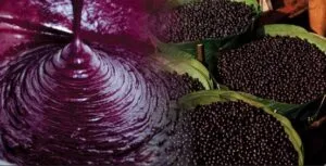 Captura-de-tela-2024-05-17-184326-300x153 Governadores colombianos querem reproduzir modelo de industrialização do açaí