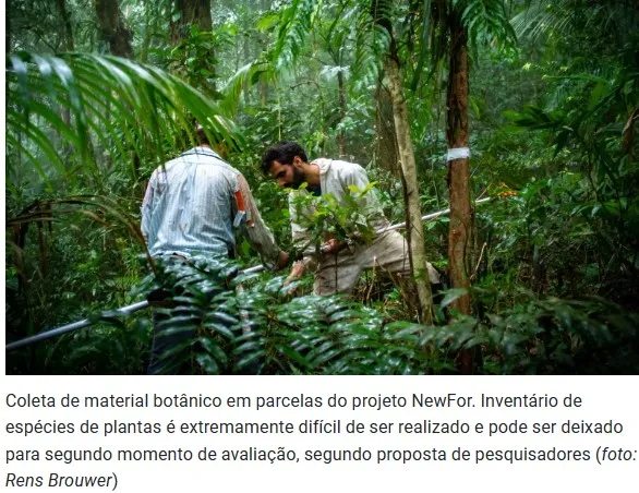 Captura-de-tela-2024-05-20-150607 Nova Abordagem para a Proteção da Mata Atlântica