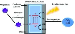 Captura-de-tela-2024-05-21-131933-300x137 Descoberta Inovadora Promete Avanços no Hidrogênio Verde