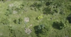 Captura-de-tela-2024-05-21-164133-300x157 Técnica inovadora pode acelerar a restauração florestal