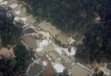 7 Universidades amazônicas estudarão contaminação por mercúrio Contaminação